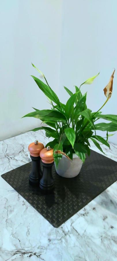 Great Studio Apartments - Netflix, Wifi, Digital Tv Sheffield Bagian luar foto